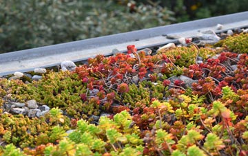 the cost of Oxen Park green roof installation