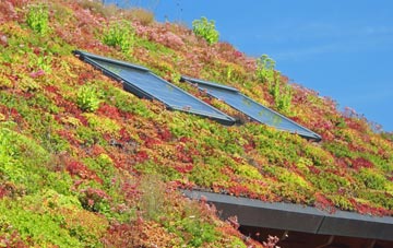 Oxen Park living roof systems